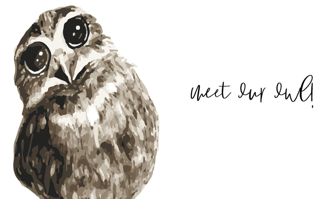 The SensAble Kids Owl